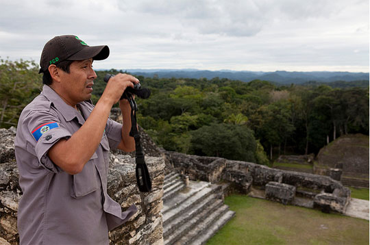 Photograph of Rafael Manzanero watching out for fires from atop a temple at Caracol Archaeological Reserve