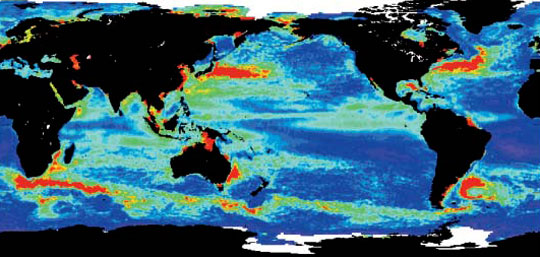 Data image showing global sea level anomalies