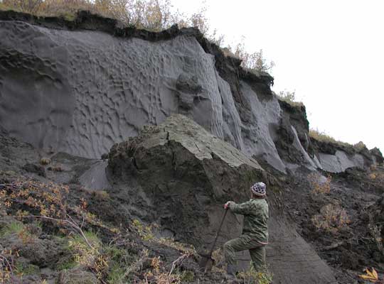 Photograph of a yedoma permafrost ice wedge