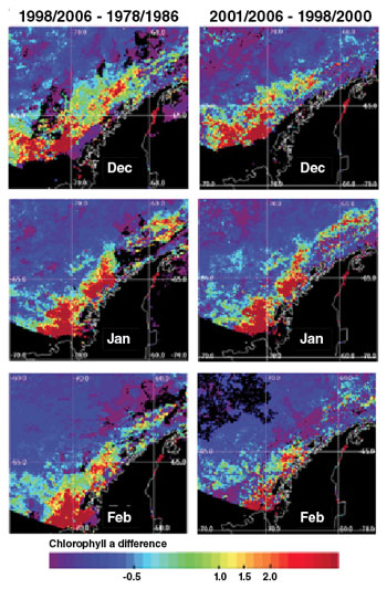 Data images showing decreasing chlorophyll a populations along the Antarctic Peninsula