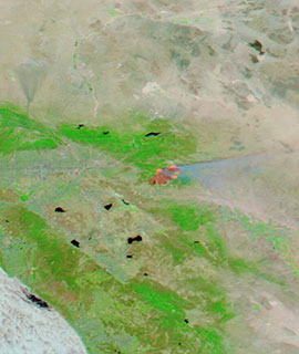 Apple Fire, California on 2 August 2020 (MODIS/Aqua) - Feature Grid