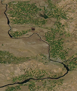 Agriculture in Eastern Washington on 19 July 2020 (Aqua/MODIS) - Feature Grid20 Aqua