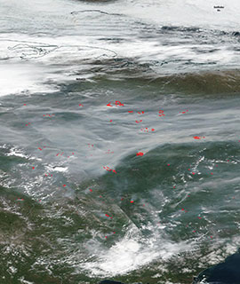 Fires and Smoke in Eastern Russia on 22 June 2020 (Suomi NPP/VIIRS)