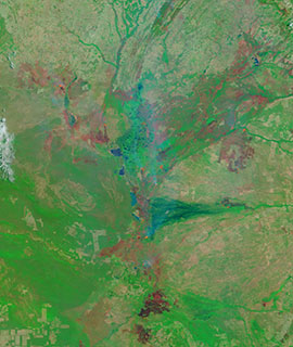 Fires on the border of Brazil and Bolivia on 4 October 2020 (MODIS/Terra) - Feature Grid