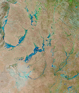 Rains from ex-tropical Cyclone Esther bring floodwaters to South West Queensland, Australia - Feature grid