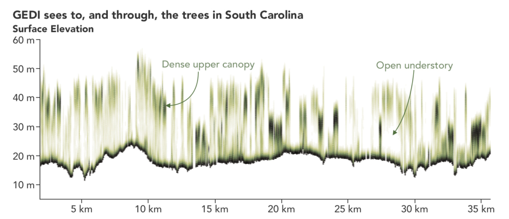 GEDI data collection over South Carolina woodland; darker green shows where the leaves and branches are denser, lighter green shows less dense canopy.