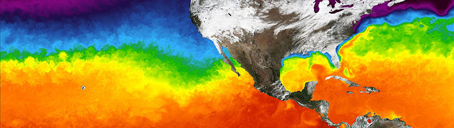 Sea Surface Temperature - feature grid