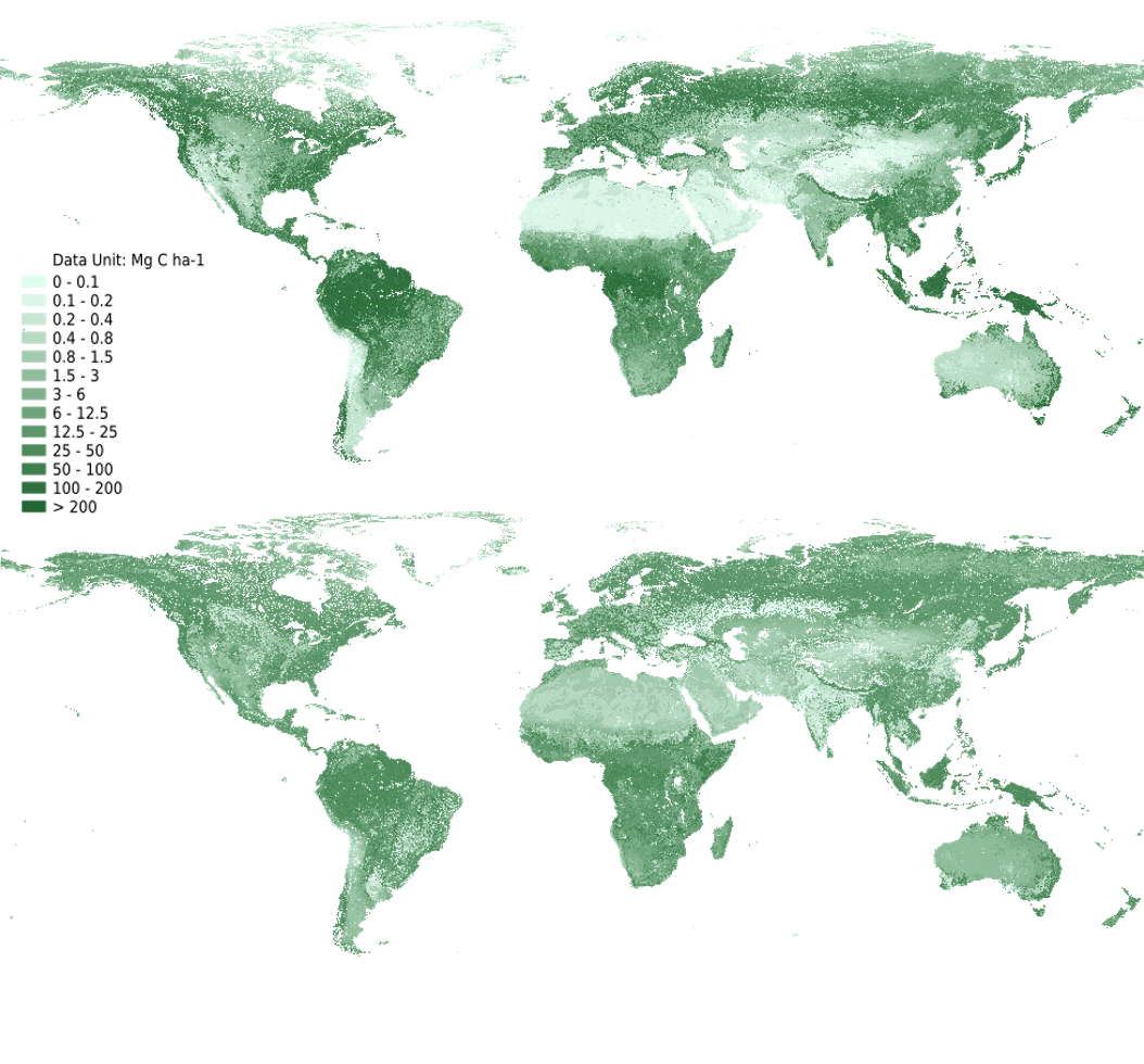 Mapping Carbon Beyond Forests New Harmonized Global Maps of Above and Belowground Biomass