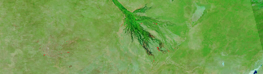 Fires in the Okavango Delta, Botswana - feature grid
