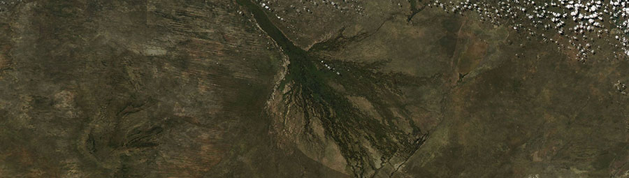 Okavango River Delta, Botswana - feature page