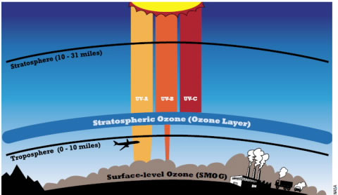 Ozone can be either good or bad, depending on where it is found in the atmosphere. In the stratosphere, ozone protects humans, plants, and animals from harmful UV radiation. In the troposphere or closer to the ground level, however, ozone serves as a potent greenhouse gas and can aggravate existing health problems in humans.
