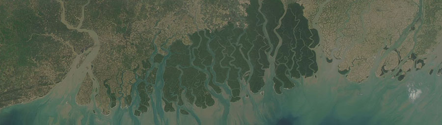 The Sundarbans - feature grid