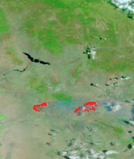 Telegraph and Mescal Fires, Arizona on 5 June 2021 (Suomi NPP/VIIRS) - Feature Grid