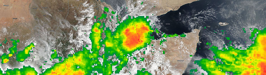 Tropical Storm Sagar - feature grid