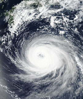 Typhoon Soulik - feature grid