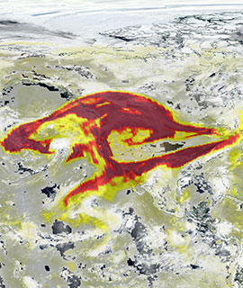 High Aerosol Index over USA on 13 September 2020 (Suomi NPP/OMPS) - Feature Grid