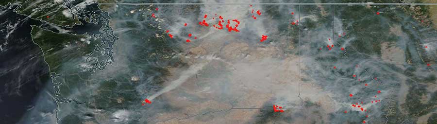 Fires in Washington State - feature grid