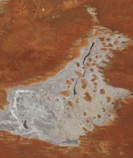 Wilkinkarra/Lake Mackay, Australia on 11 January 2021 (MODIS/Terra) - Feature Grid