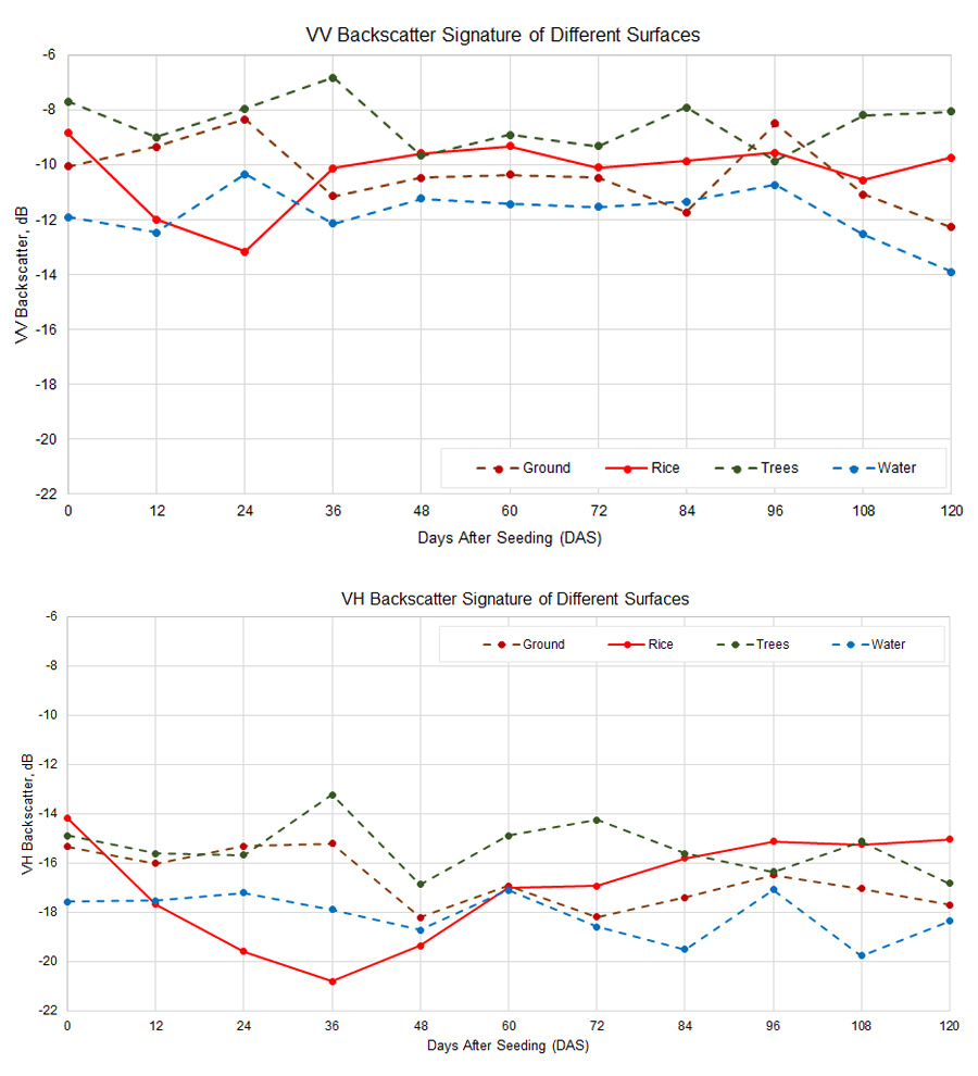 Graphs showing different backscattering for ricefields and other types of land cover