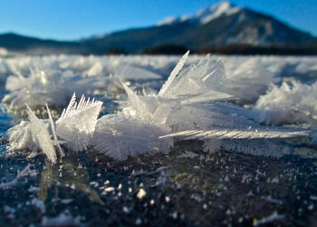 Photograph of frost flowers on ice