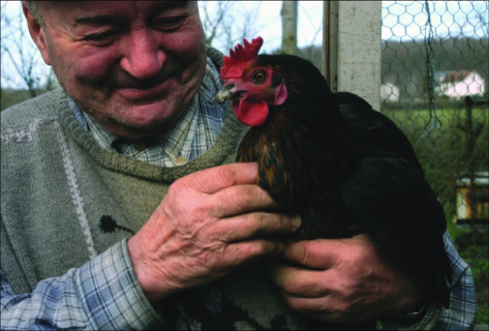 Burgundy farmer with chicken