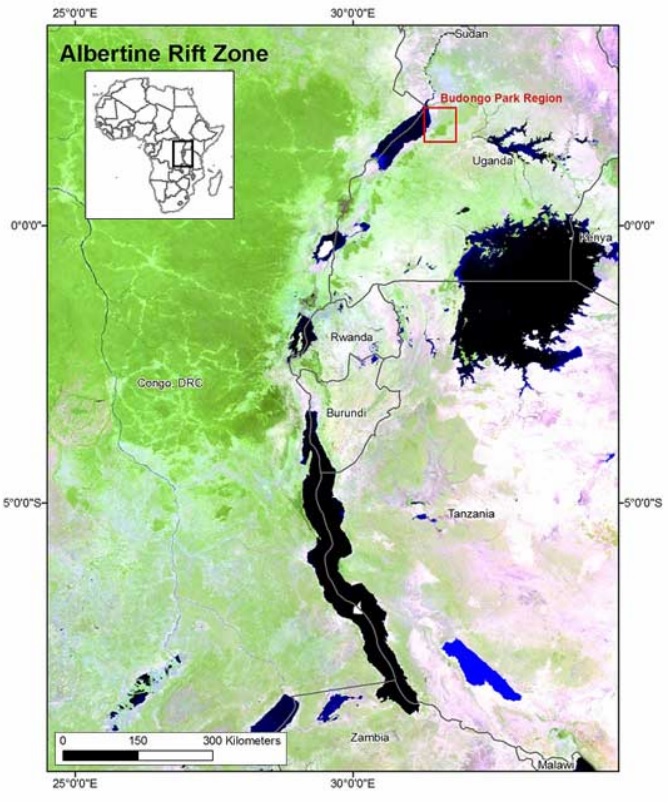 MODIS Africa Rift Zone