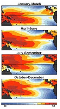 Pacific mean ocean temperatures