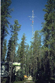 flux tower boreal forest