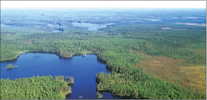 boreal forest Karelia
