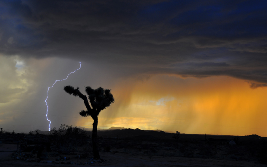 Photograph of cloud-to-ground lightning over the Mojave Desert