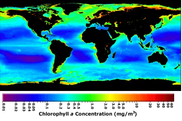 SeaWiFS average chlorophyll a