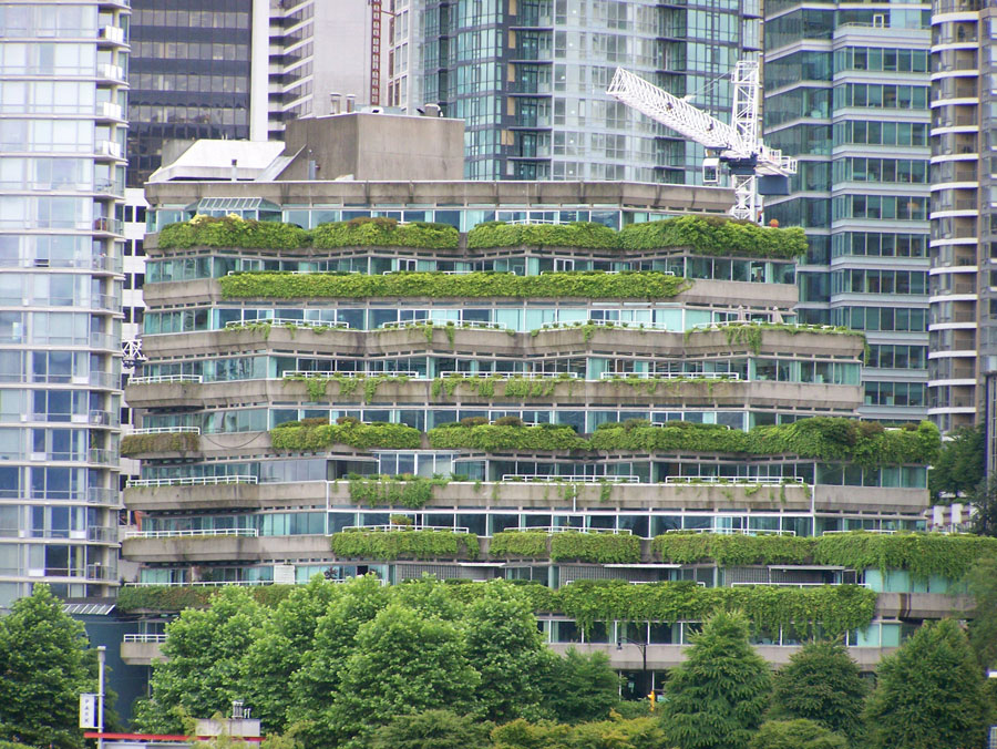 Photograph of vegetation-covered green roofs in Vancouver, Canada