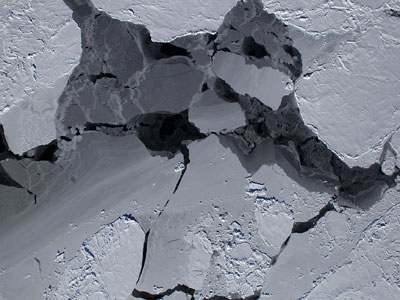 Photograph of sea ice