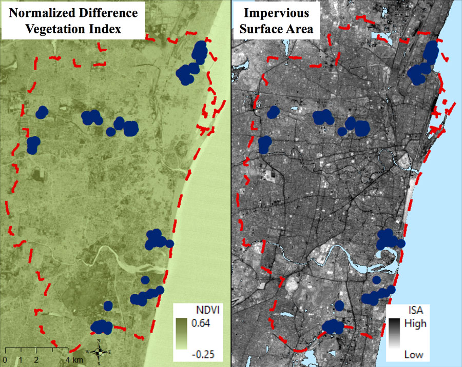 Data images comparing greenness and impervious surface area in Chennai, India