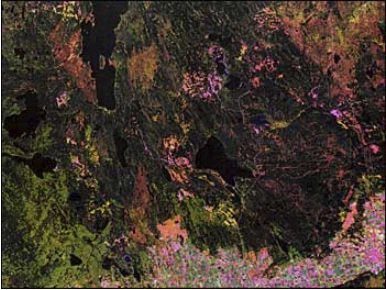 Landsat Prince Albert