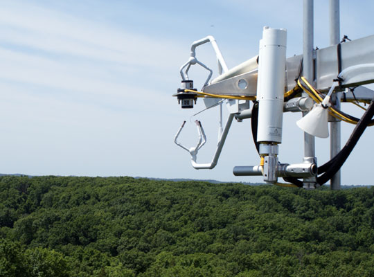 Photograph of fluxtower instruments above the tree canopy