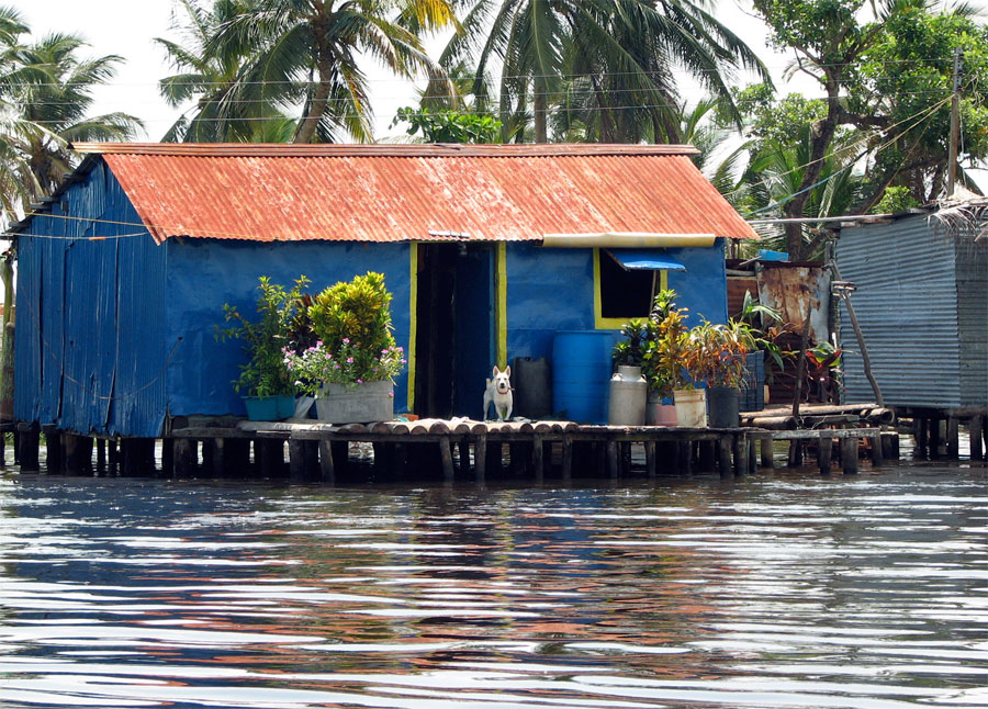 Photograph of a palafito, or stilt house built on Lake Maracaibo in Venezuela