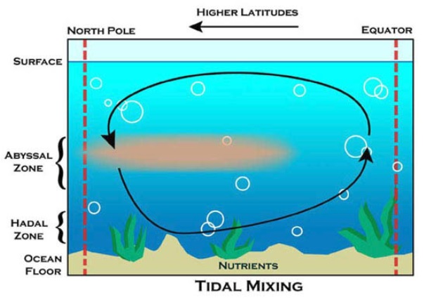 tidal mixing model