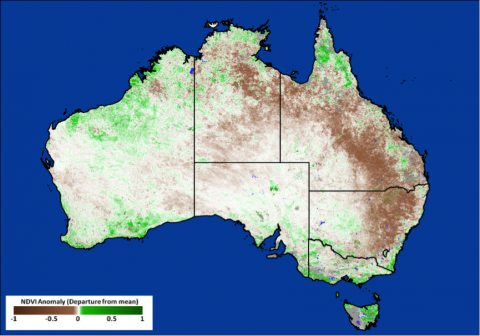 This NRT MODIS NDVI image was provided by the GLAM system. It shows the rolling 8-day NDVI product for Australia from 1-9 January 2014.