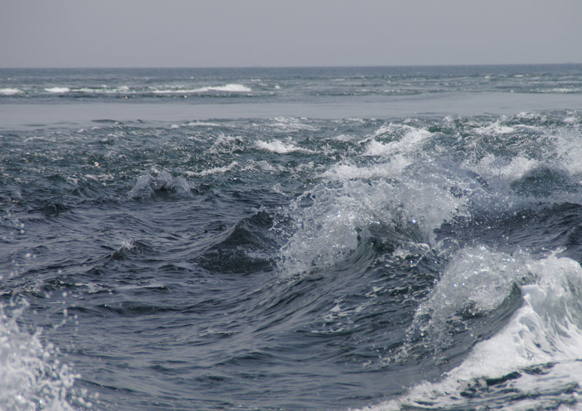 Photograph of the ocean surface