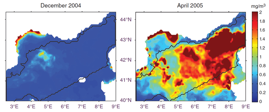 Data image showing global ocean color