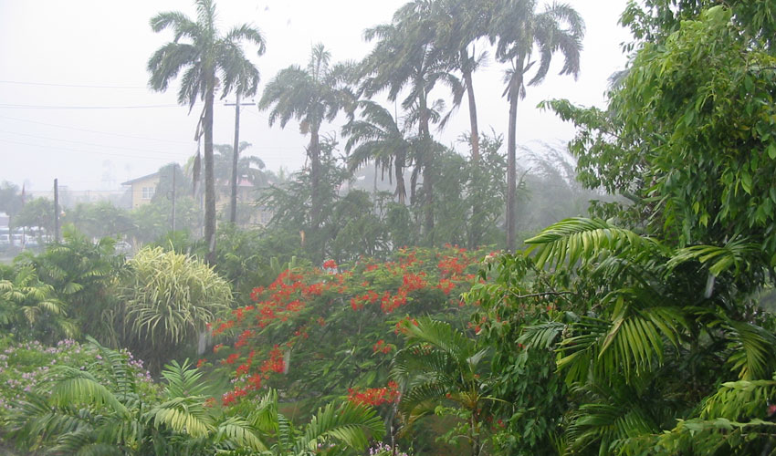 Photograph of rainfall in Guyana