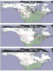 MODIS above average snow cover