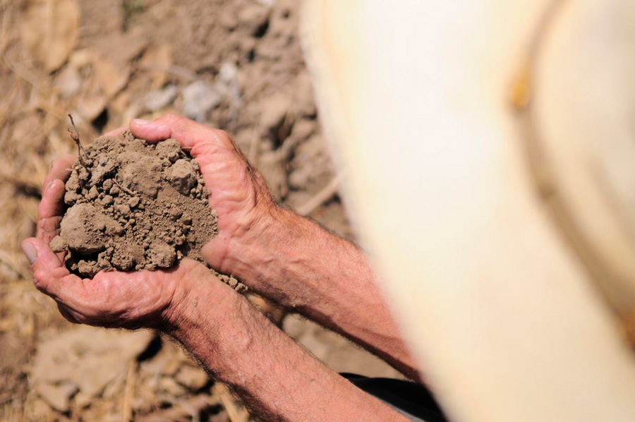 Photograph of a farmer holding desiccated soil in his hands