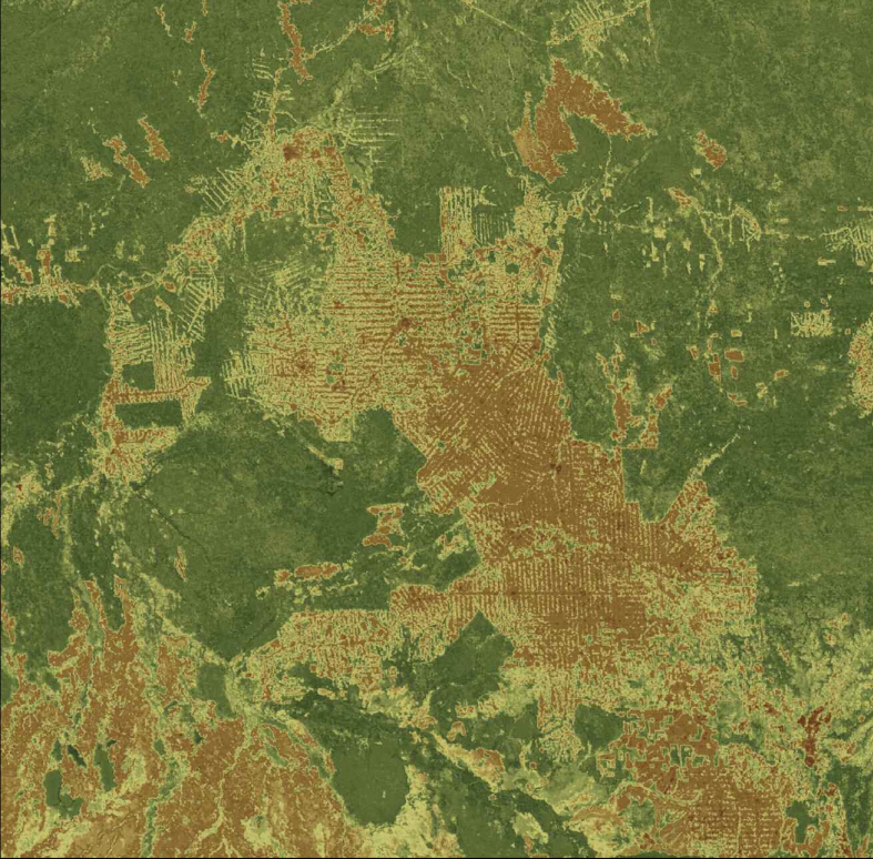 MODIS GLAS biomass density