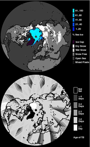 NISE polar projection snow cover