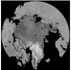 QuikSCAT Arctic map