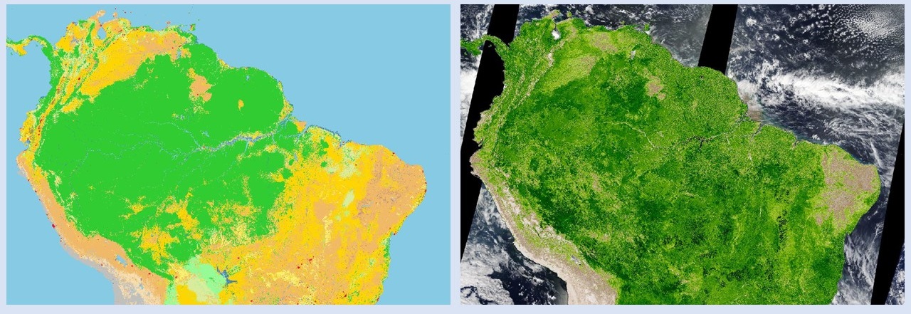 Side-by-side images showing two ways of looking at vegetation using MODIS data collected over South America. Left image is Land Cover Type, showing different colors representing different land cover types. Right image is the same view of South America, but overlain with MODIS Ehanced Vegetation Index data.