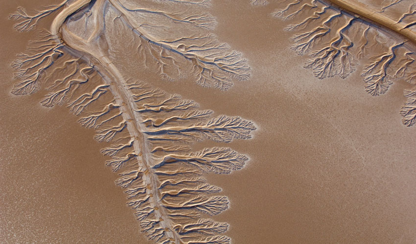 Aerial photograph of the dry Colorado River delta