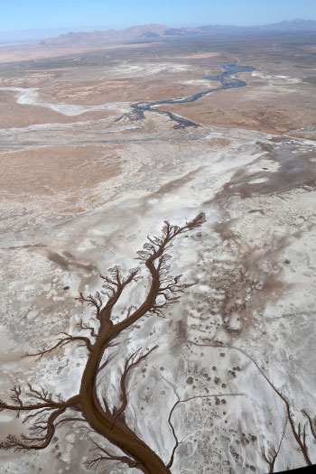 Photograph of the Colorado River Delta and the Gulf of California